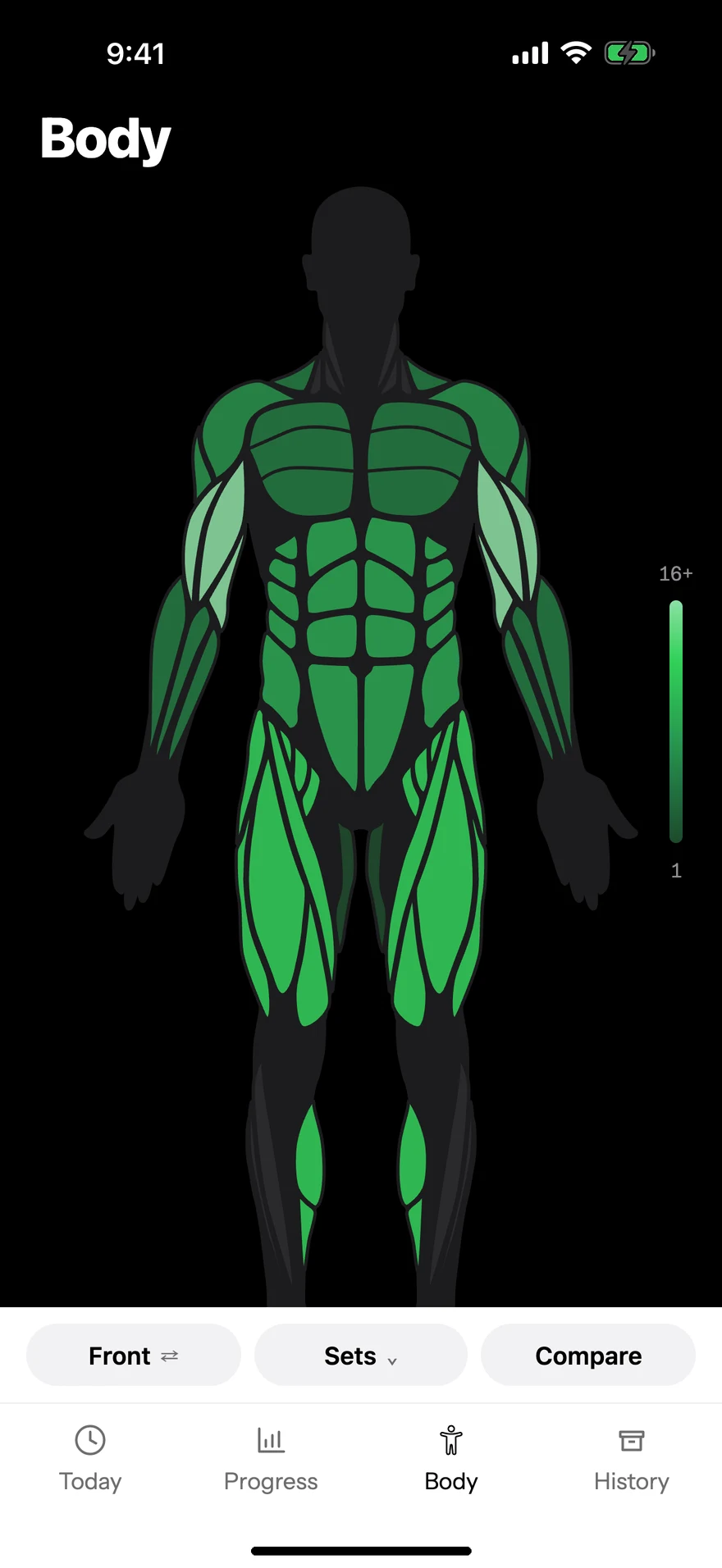 Body map: every muscle shaded by its sets